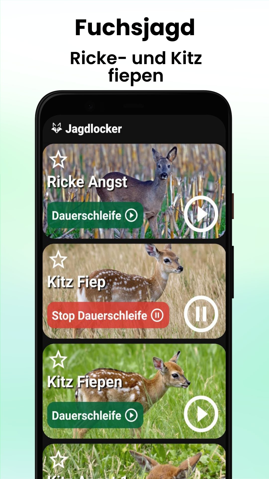 Jagdlocker App - Fuchs-Lockjagd